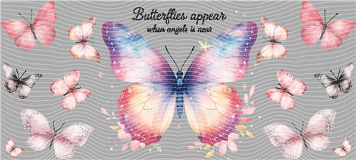 16oz Latest Bestseller-C 5842